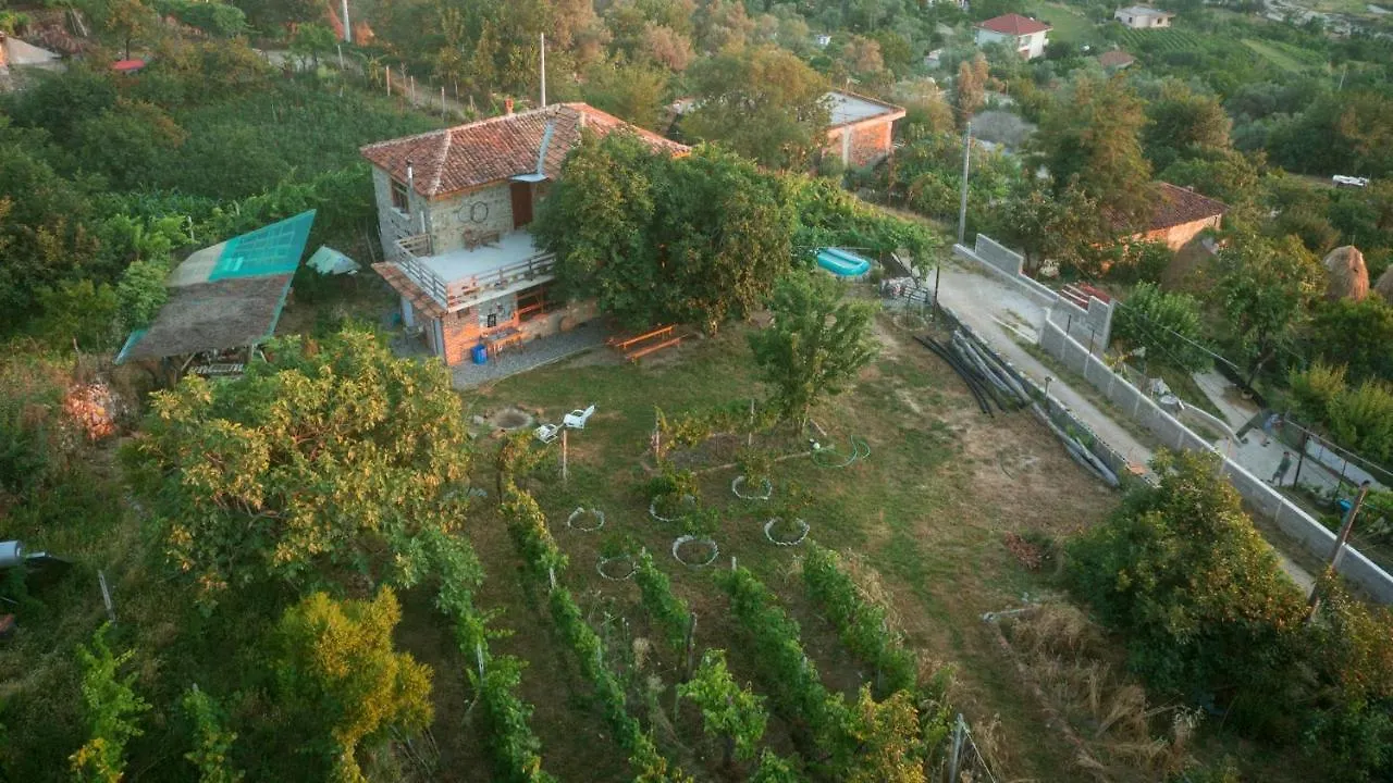 The House In The Village Pellumbas