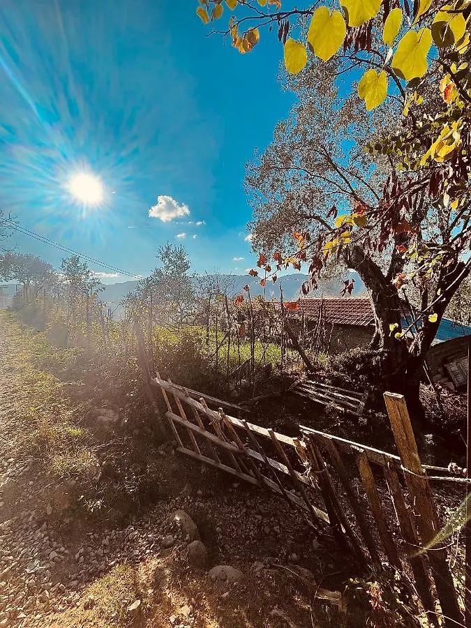 Πανσιόν The House In The Village Pellumbas Αλβανία