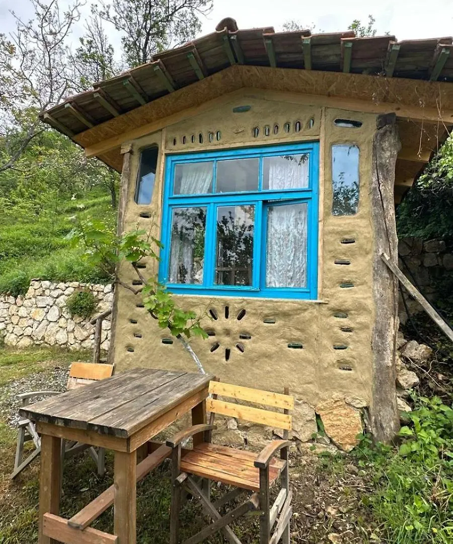 The House In The Village Pellumbas