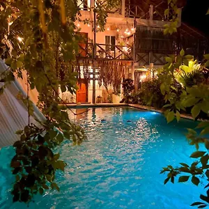 hotel-jaiba.quintano-roohotels.com/